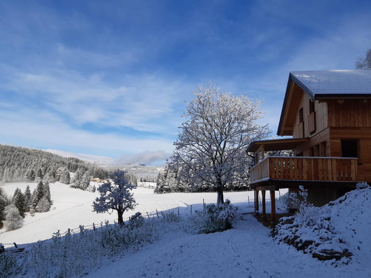 Апартаменты Auszeit Almhaus Schmalzbauer Санкт-Андре Экстерьер фото
